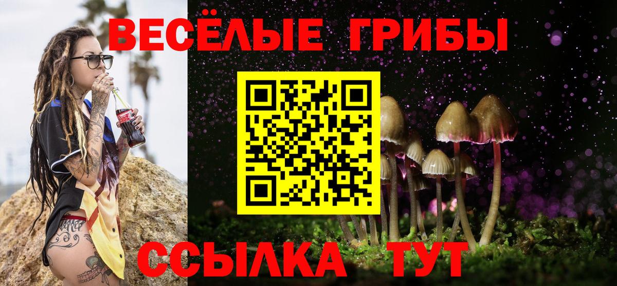 Ефремов  Галлюциногенные грибы ЛСД  Галлюциногенные грибы прущие грибы  Вход с VPN 